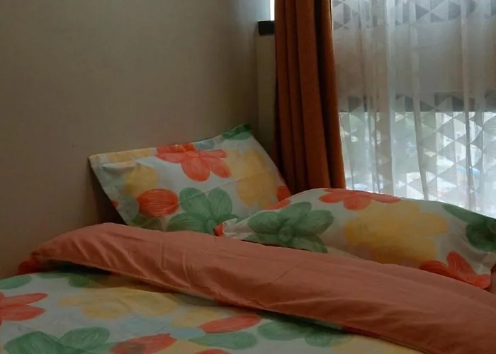 3 Brooms 3 Baths Cozy Condo, One Manchester Place Apartment *